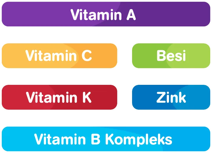 Formula Susu dengan Nutrien Seimbang dan Lengkap